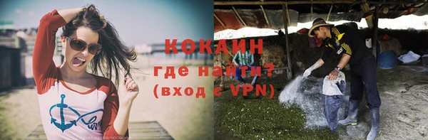 стаф Беломорск