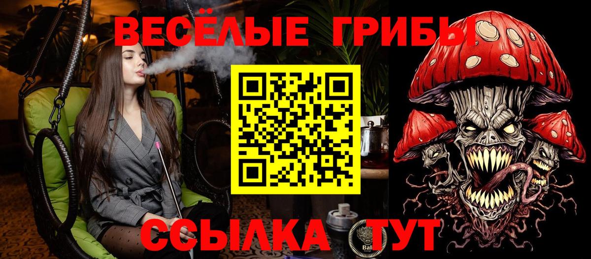Псилоцибиновые грибы Psilocybine cubensis  Вход с VPN  где можно купить   Бор 