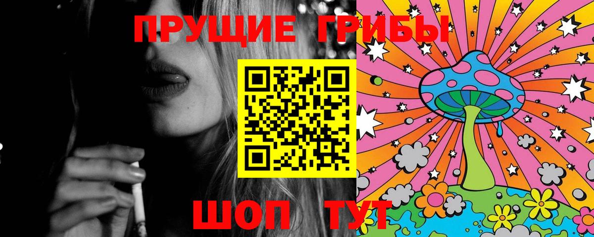 Псилоцибиновые грибы мицелий Бор