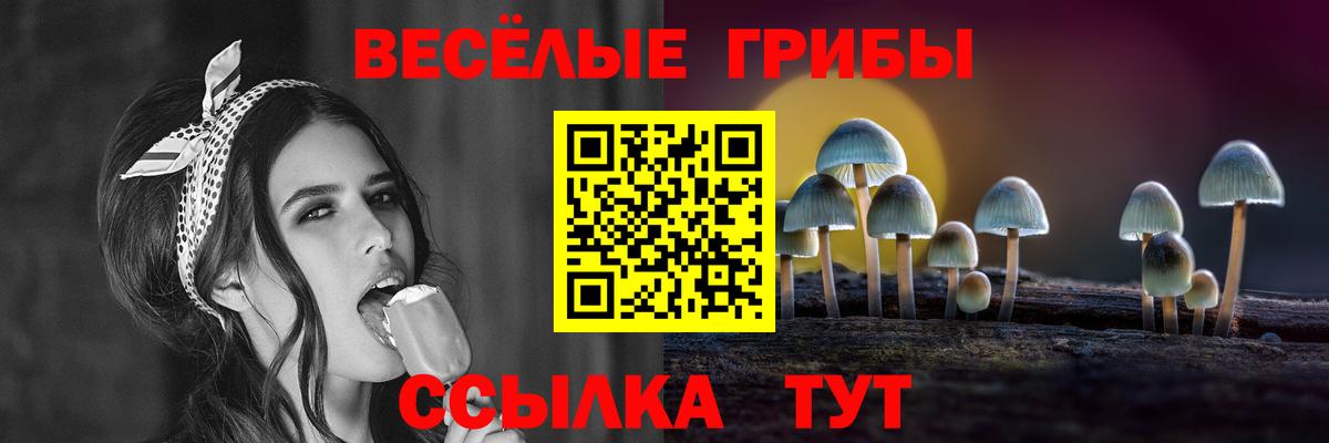 Галлюциногенные грибы прущие грибы Бор